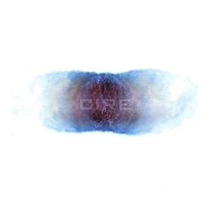 Spaceotemporal