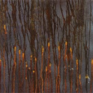 2nd Scrape (version)