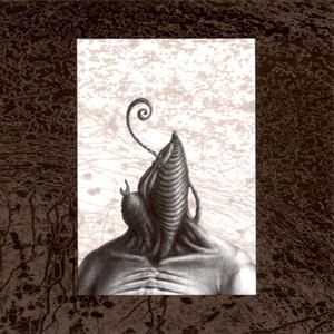 Significant Memory in the Grip of Declension