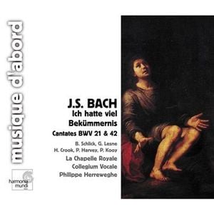 Cantata, BWV 21 "Ich hatte viel Bekümmernis": V. Aria (Tenor) "Bäche von gesalznen Zähren"