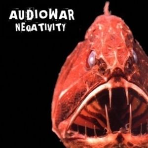 Audio Crash