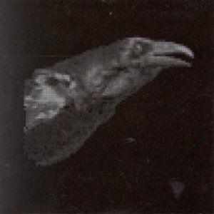 The Dull Miles (Exit Decades)