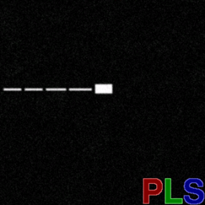 PLS (EP)