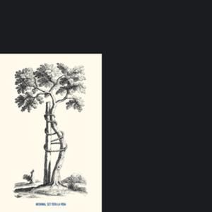 Llavors tu, simplement