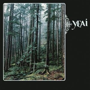 He Turned Rags into Rocks