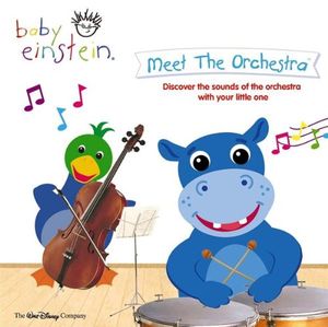 Meet the Orchestra