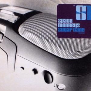 Sugar Cane (Zugang vs. The Rhythm - C'Est La Guerre mix)