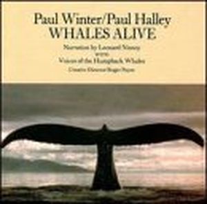 Concerto for Whale and Organ