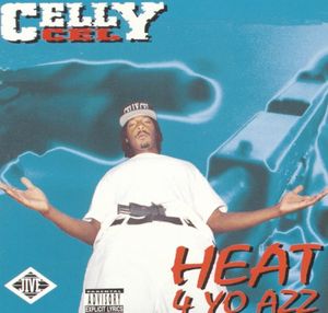 Heat 4 Yo Azz