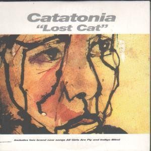 Lost Cat