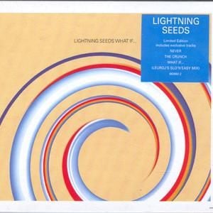 Lightning Seeds Mix 'N' Match