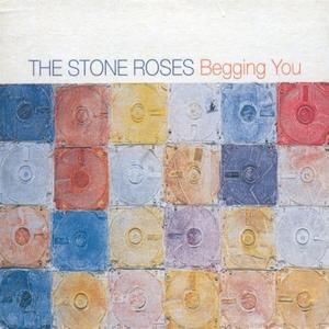 Begging You (Stone Corporation Vox)