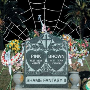 Enter Officer, Exit Wound