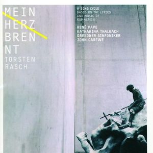 Alter Mann Orchesterlied VIII