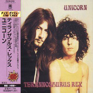 Cat Black (The Wizard Hat)