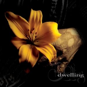 The Reality That Remains