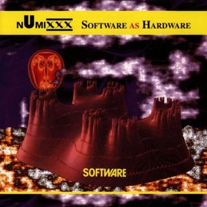 Software as Hardware