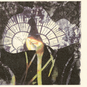 Our Thin Mercy of Error