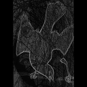 The Harmful Black Bird