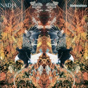 Radiance of Shadows (Live)