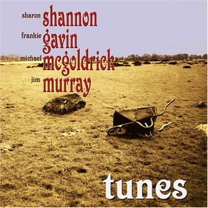 Paidin O'Rafferty's Jig / The Rookery