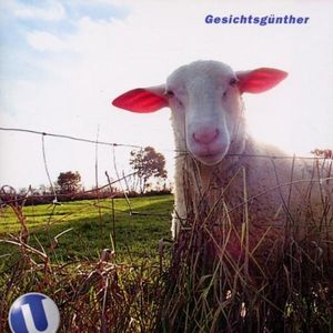 Harry redet über Timo