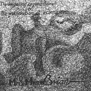 The Proliferation of Incarnation