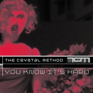 You Know It’s Hard (Digital Assasins remix)