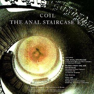 The Anal Staircase (A Dionysian mix)