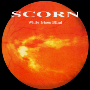 White Irises Blind (Minimal mix)