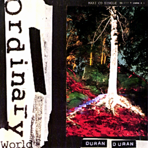 Ordinary World (original album version)