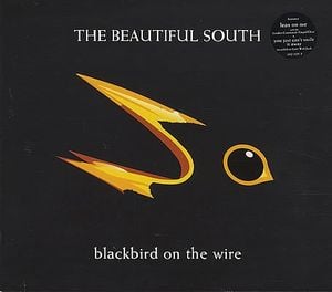 Blackbird on the Wire