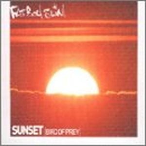 Sunset (Bird of Prey) (Darren Emerson remix)