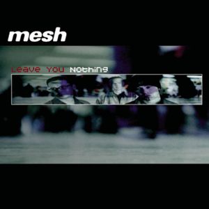 Leave You Nothing (Single)