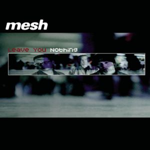 Leave You Nothing (radio edit)