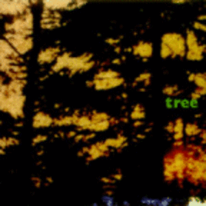 Tree: Music for Film and Forests (Live)