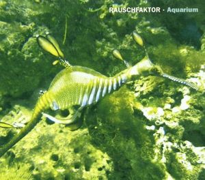 Äquator
