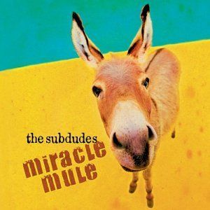 Miracle Mule (Live)