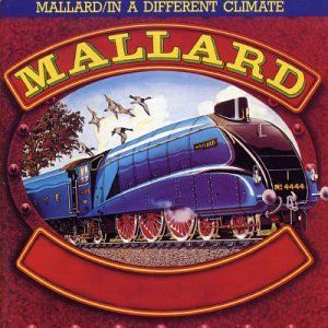 Mallard / In a Different Climate