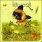 Beats and Breaks From the Flower Patch