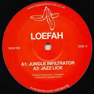 Jungle Infiltrator