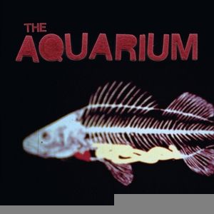 The Aquarium