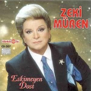 Seni Nasıl Sevdim