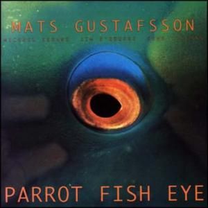 Parrot Fish Eye
