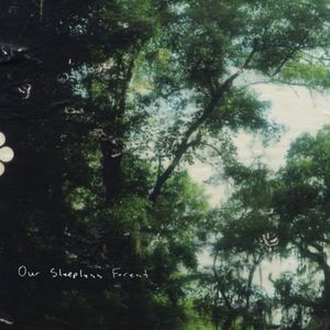 Our Sleepless Forest