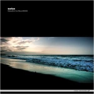 Waveforms / Soul 2000 (Single)