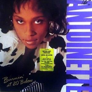 The Fox That Rox the Box