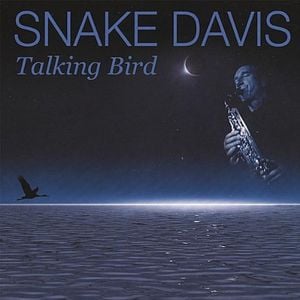 Talking Bird