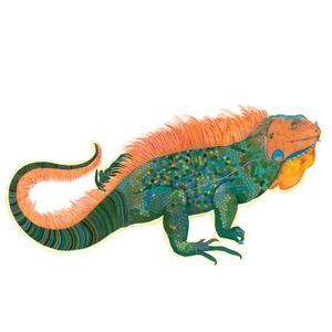 How to Catch a Lizard