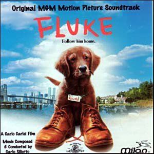 Fluke (OST)